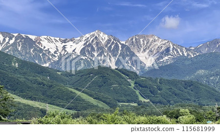 [Hakuba, Nagano Prefecture] Fresh greenery and the Hakuba Sanzan mountains 115681999
