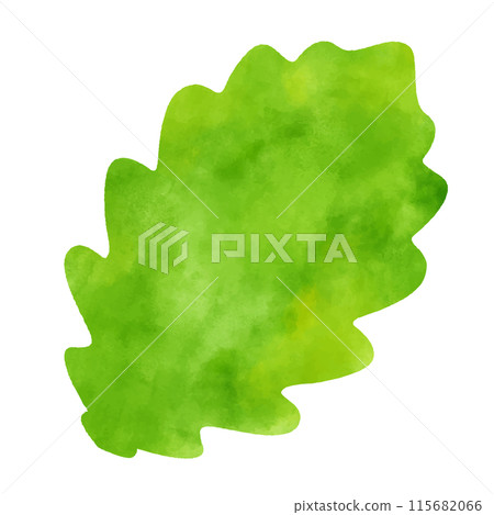 水彩紋路留下新鮮的綠色 115682066