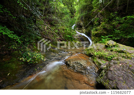 北谷白龍Metaki（兵庫縣丹波市春日町） 115682077