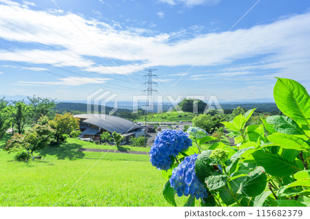 以初夏藍天為背景的田原山及週邊風景(繡球花)(旅遊勝地田原山社區中心萌之裡) 以初夏藍天為背景的田原山及週邊風景(繡球花)(旅遊勝地田原山社區中心萌之裡) 115682379