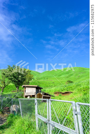 初夏藍天背景的田原山及其周邊風景(羊棚)(旅遊勝地田原山交流中心萌之裡) 初夏藍天背景的田原山及其周邊風景(羊棚)(旅遊勝地田原山交流中心萌之裡) 115682975
