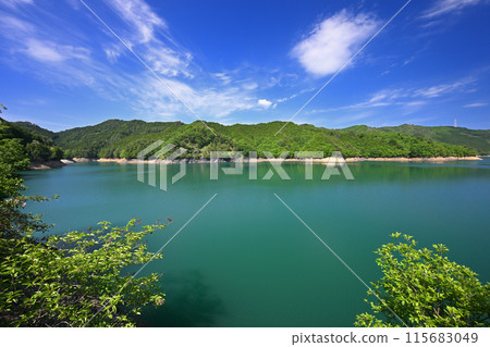 從黑川水壩遺址背面看到的景色（兵庫縣朝來市） 115683049