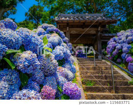 Obeta Kiyomasa Hall 115683771