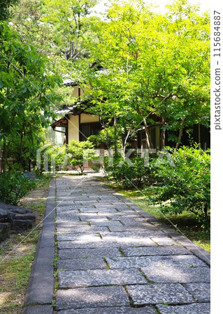 Fresh green and cobblestone 115684887
