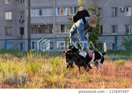 Man bending over to pet dogs in urban park. 115685497