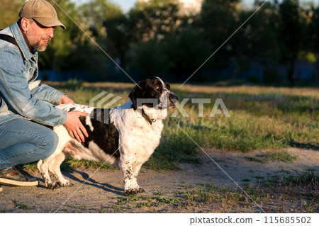 Man gently petting hound in sunny field. 115685502
