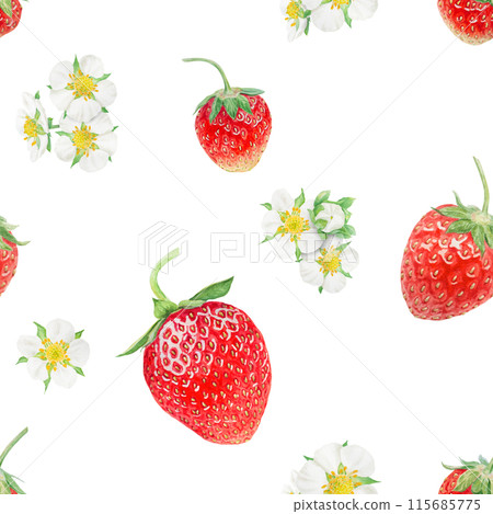Red strawberry seamless pattern. Hand drawn watercolor ornament. Delicious food art, fresh botanical realistic painting. Summer berry background for menu, packaging, prints, textile Red strawberry seamless pattern. Hand drawn watercolor ornament. Delicious food art, fresh botanical realistic painting. Summer berry background for menu, packaging, prints, textile 115685775