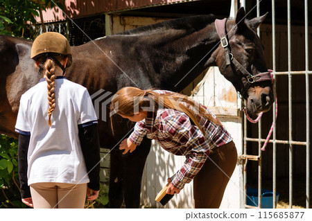Women grooming dark horse 115685877