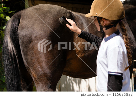 Child brushing dark horse's hindquarters at stable. Child brushing dark horse's hindquarters at stable. 115685882