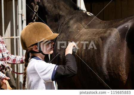 Child using brush on horse's side at stable. Child using brush on horse's side at stable. 115685883