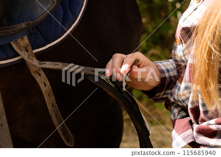 Equestrian adjusting saddle on horse. Equestrian adjusting saddle on horse. 115685940