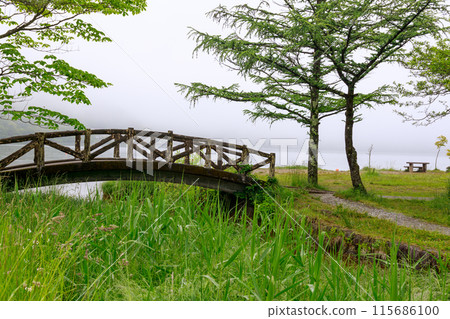 濃霧籠罩的初夏榛名湖風景 濃霧籠罩的初夏榛名湖風景 115686100