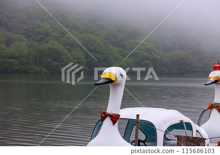 A view of Lake Haruna in early summer, covered in thick fog 115686103