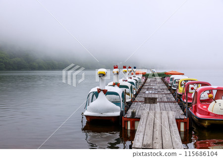 濃霧籠罩的初夏榛名湖風景 115686104