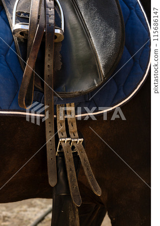 Saddled horse standing in a stable. Saddled horse standing in a stable. 115686147
