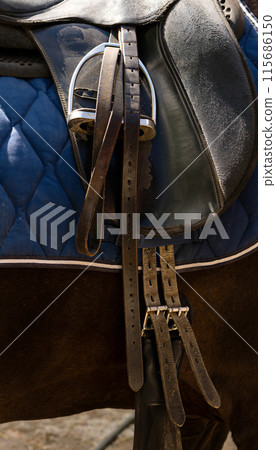 Saddled horse standing in a stable. 115686150