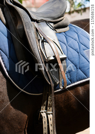 Leather saddle on a horse. Leather saddle on a horse. 115686158