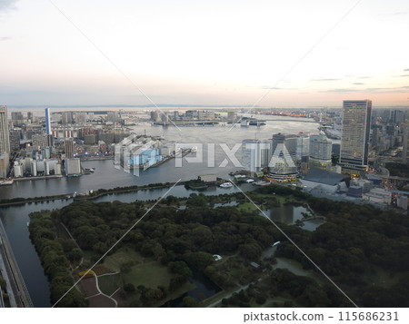 從Caretta汐留展望台看到的景色（東京灣、濱離宮、台場、彩虹橋等） 115686231