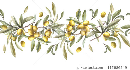 Olive tree branch with green leaves and berries. Watercolor seamless border, pattern. Hand painted illustration. Botanical horizontal clipart for oil label, floral summer print on isolated background. 115686249