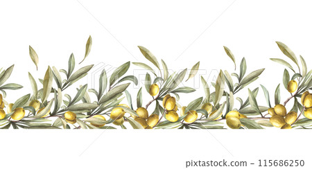 Olive tree branch with green leaves and berries, stone fruits. Watercolor seamless border, pattern Hand painted illustration. Food floral clipart for oil label, summer print on isolated background. Olive tree branch with green leaves and berries, stone fruits. Watercolor seamless border, pattern Hand painted illustration. Food floral clipart for oil label, summer print on isolated background. 115686250