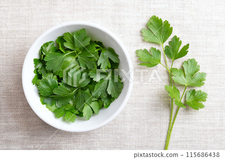 Fresh flat leaf parsley in a white bowl on linen fabric. Parsley with bright green and not wrinkled leaves. Petroselinum crispum, cultivated as a culinary herb, and used as a garnish and vegetable. Fresh flat leaf parsley in a white bowl on linen fabric. Parsley with bright green and not wrinkled leaves. Petroselinum crispum, cultivated as a culinary herb, and used as a garnish and vegetable. 115686438