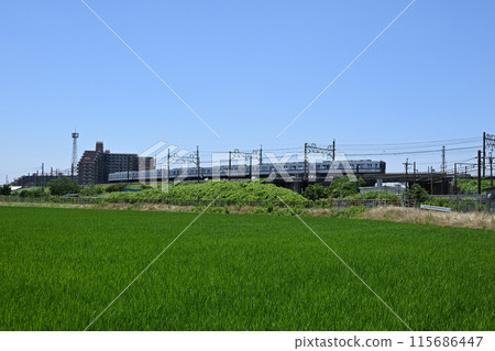 Tobu Isesaki Line commuter train running along an embankment in the countryside Tobu Isesaki Line commuter train running along an embankment in the countryside 115686447