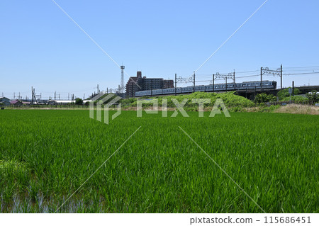 東武伊勢崎線，沿著鄉村堤防行駛的通勤列車 115686451