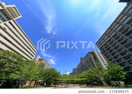 大島六丁目住宅社區（東京都江東區） 115686635