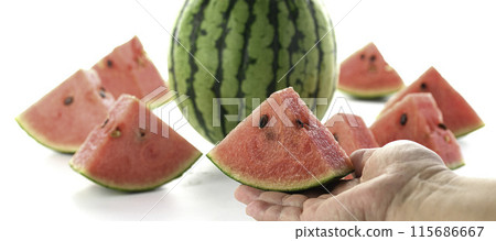 Watermelon (small watermelon) cut image white background Watermelon (small watermelon) cut image white background 115686667