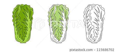 Chinese cabbage, colorful and line icons set. Farm vegetable vector outline icon, monochrome and color illustration. Healthy nutrition, organic food, vegetarian product. For logo, coloring book 115686702