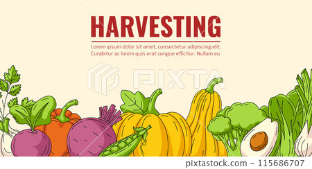 Harvesting, vegetables horizontal colorful vector banner. Isolated background, space for text. Fresh and healthy farm products, organic food, natural veggies icons. For poster, menu, flyer, market Harvesting, vegetables horizontal colorful vector banner. Isolated background, space for text. Fresh and healthy farm products, organic food, natural veggies icons. For poster, menu, flyer, market 115686707