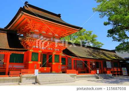 Usa Jingu Kamimiya Main Hall (National Treasure) 115687038