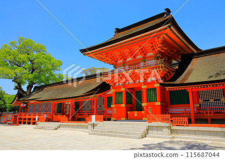 宇佐神社上宮正殿(國寶) 宇佐神社上宮正殿(國寶) 115687044