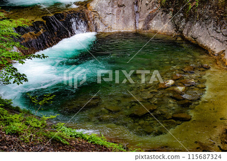 [Early summer ingredients] Fresh greenery in Nishizawa Valley and Nanatsugama Godan Falls [Yamanashi Prefecture] 115687324