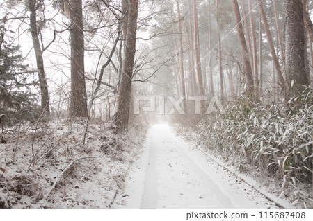 雪山路 雪山路 115687408