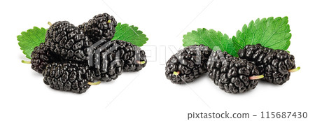 Mulberry with leaf isolated on white background Mulberry with leaf isolated on white background 115687430