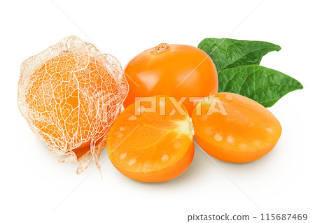 Cape gooseberry or physalis isolated on white background wit full depth of field Cape gooseberry or physalis isolated on white background wit full depth of field 115687469