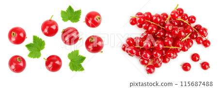 Red currant berry isolated on white background. Top view. Flat lay pattern 115687488