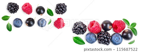 blackberry blueberry raspberry black currant isolated on white background with copy space for your text. Top view. Flat lay pattern blackberry blueberry raspberry black currant isolated on white background with copy space for your text. Top view. Flat lay pattern 115687522