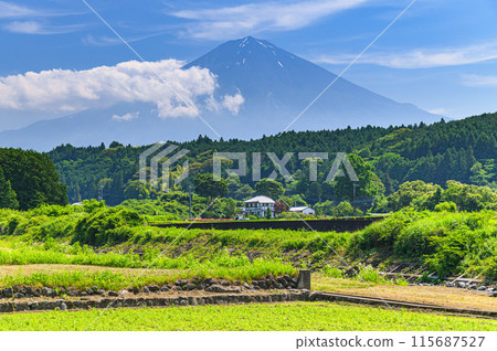 靜岡縣富士宮市湯野的鄉村和富士山的壯麗景色 靜岡縣富士宮市湯野的鄉村和富士山的壯麗景色 115687527