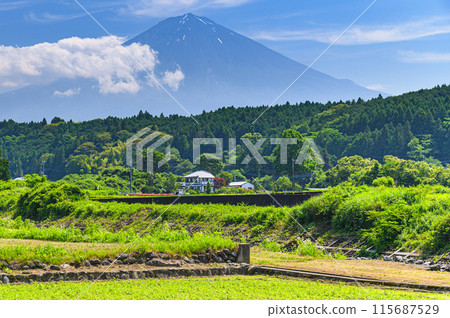 靜岡縣富士宮市湯野的鄉村和富士山的壯麗景色 115687529