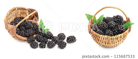 blackberry in basket with leaf isolated on a white background closeup blackberry in basket with leaf isolated on a white background closeup 115687533