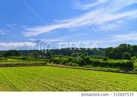 Spectacular view of the countryside of Yuno, Fujinomiya City, Shizuoka Prefecture and Mt. Fuji 115687535