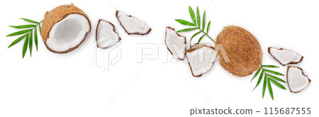 coconut with leaves isolated on white background with copy space for your text. Top view. Flat lay coconut with leaves isolated on white background with copy space for your text. Top view. Flat lay 115687555