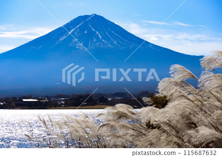 Susuki和富士山 115687632