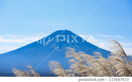 Susuki和富士山 115687633