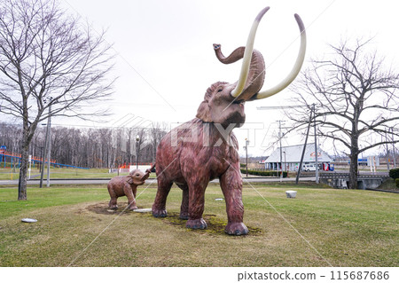 北海道瑙曼大象家族紀念化石發現 北海道瑙曼大象家族紀念化石發現 115687686