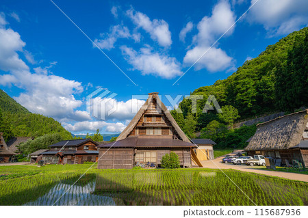 [World Heritage] Gokayama and Suganuma Gassho-style Village in early summer [Toyama Prefecture] 115687936