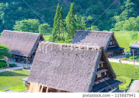 [World Heritage] Gokayama and Suganuma Gassho-style Village in early summer [Toyama Prefecture] 115687941
