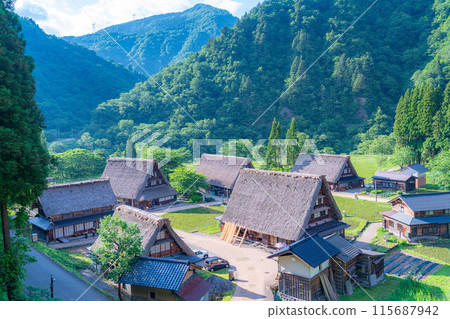 [World Heritage] Gokayama and Suganuma Gassho-style Village in early summer [Toyama Prefecture] 115687942